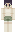 CreativeFlower87 Minecraft Skin