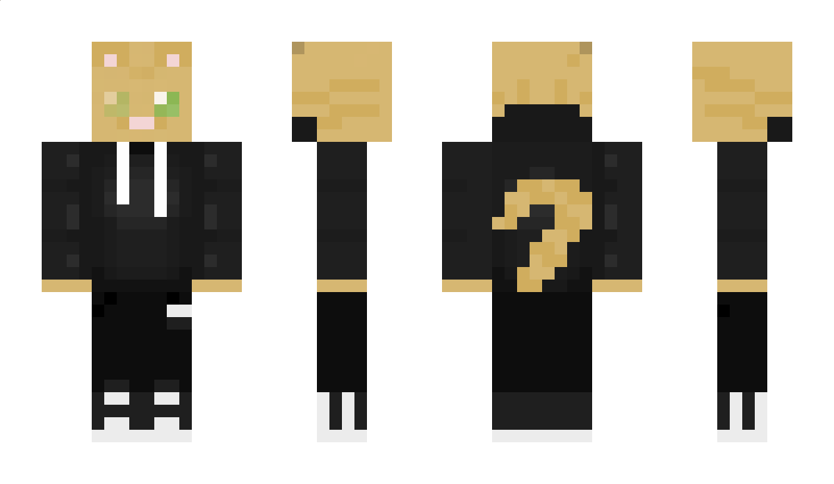 JoyousCat Minecraft Skin
