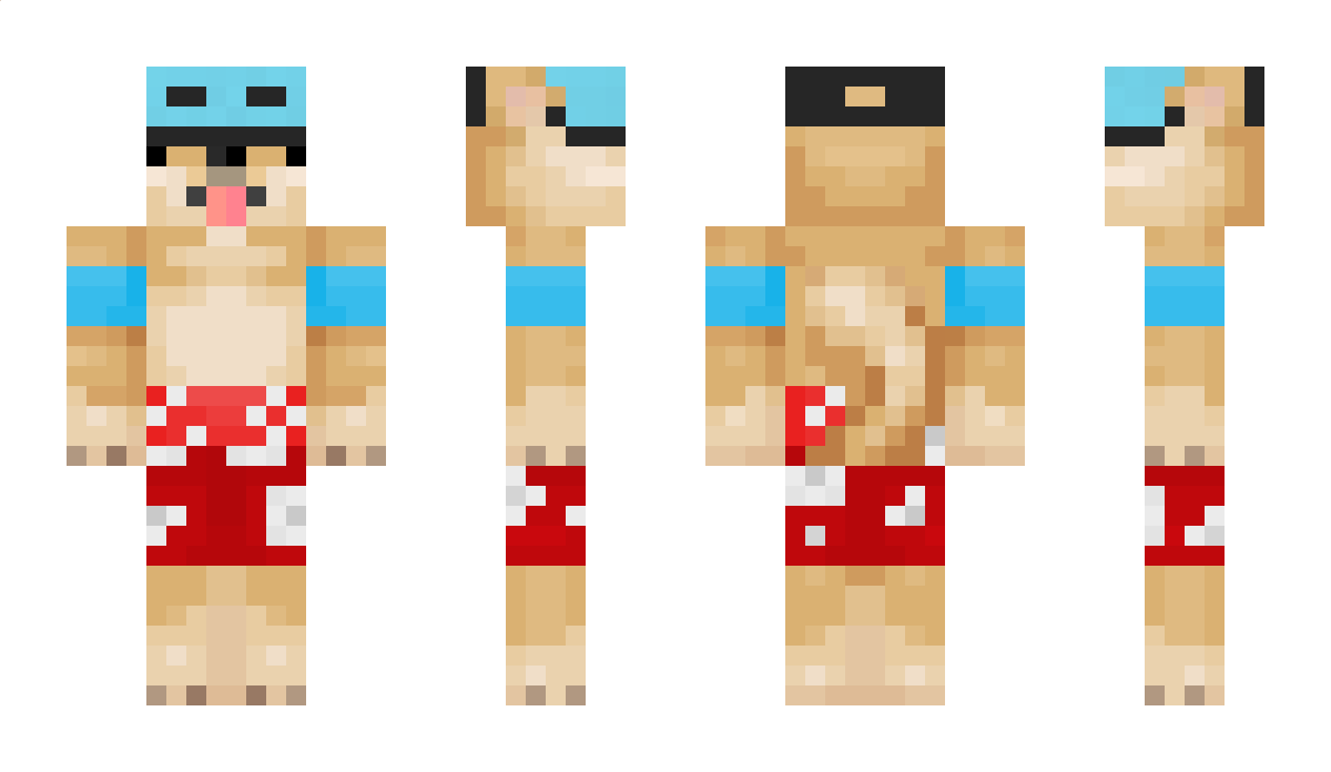 DogeEJ Minecraft Skin