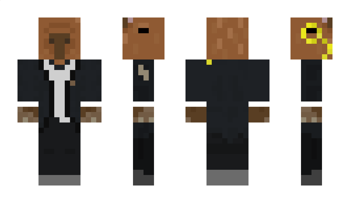 radious Minecraft Skin