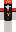 COP040679 Minecraft Skin