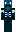 WardenEleven Minecraft Skin