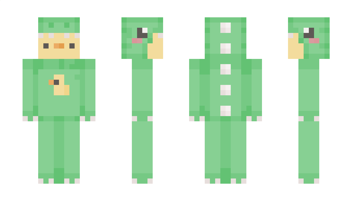 WalliBBear Minecraft Skin