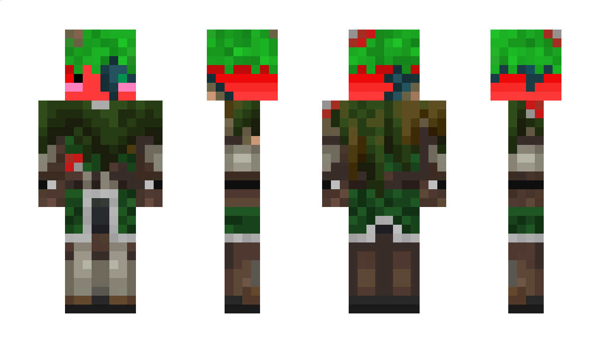 tomatin209 Minecraft Skin