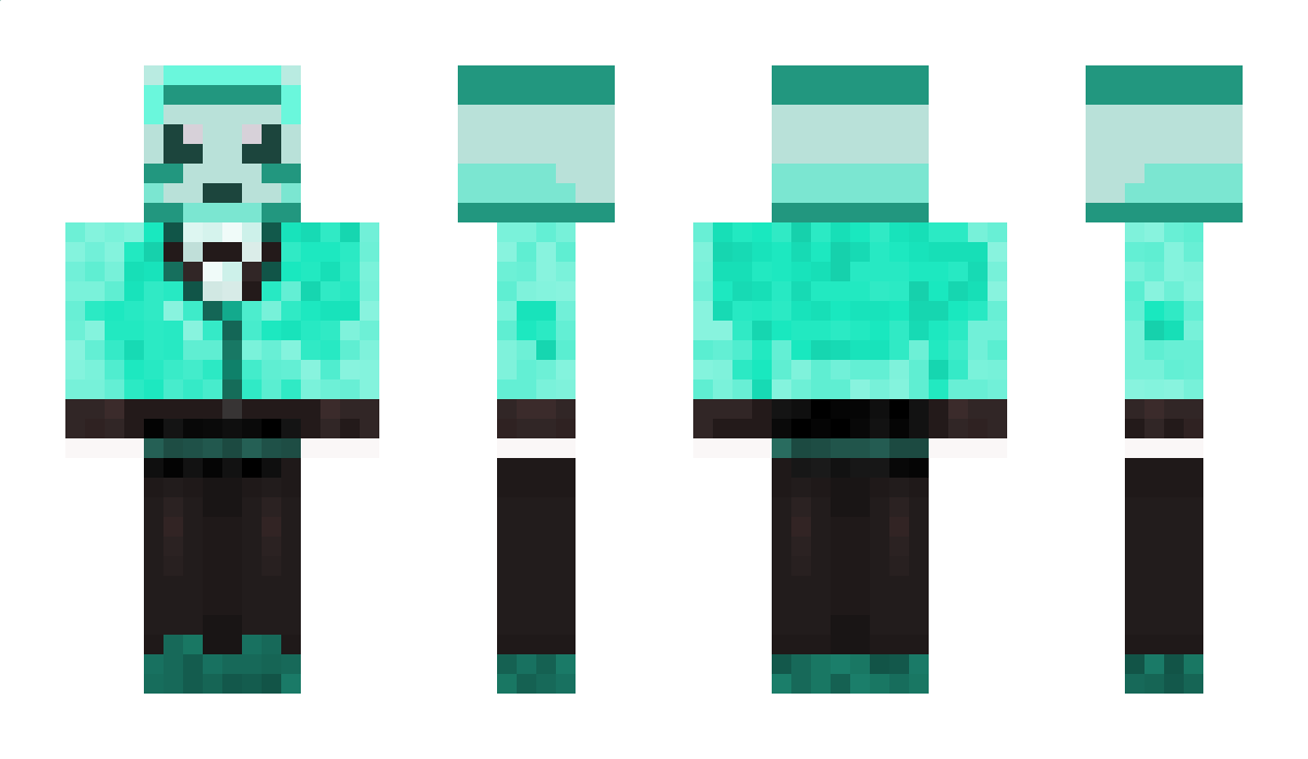 EnderSox Minecraft Skin