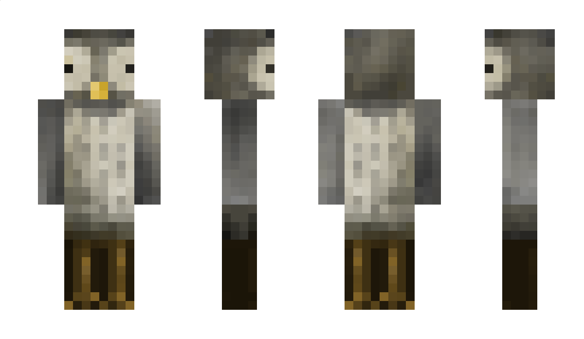 NotSniper5 Minecraft Skin