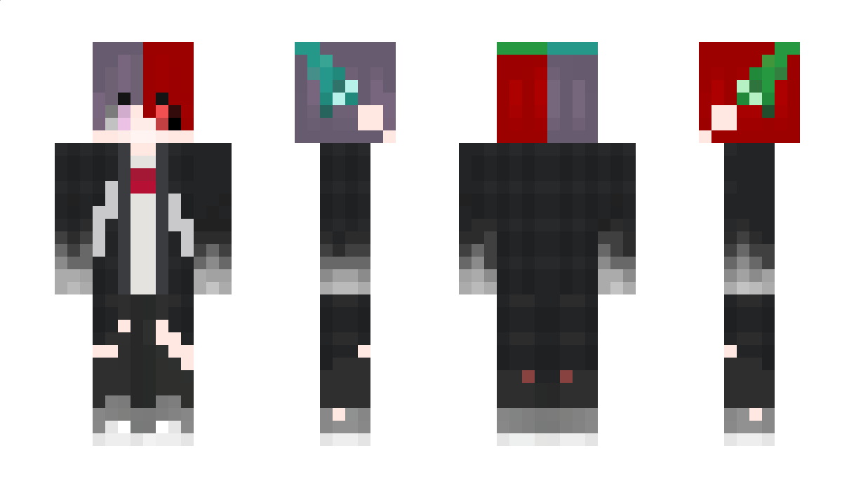 LudanFe Minecraft Skin