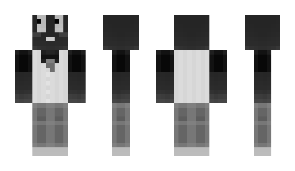 S3dN Minecraft Skin