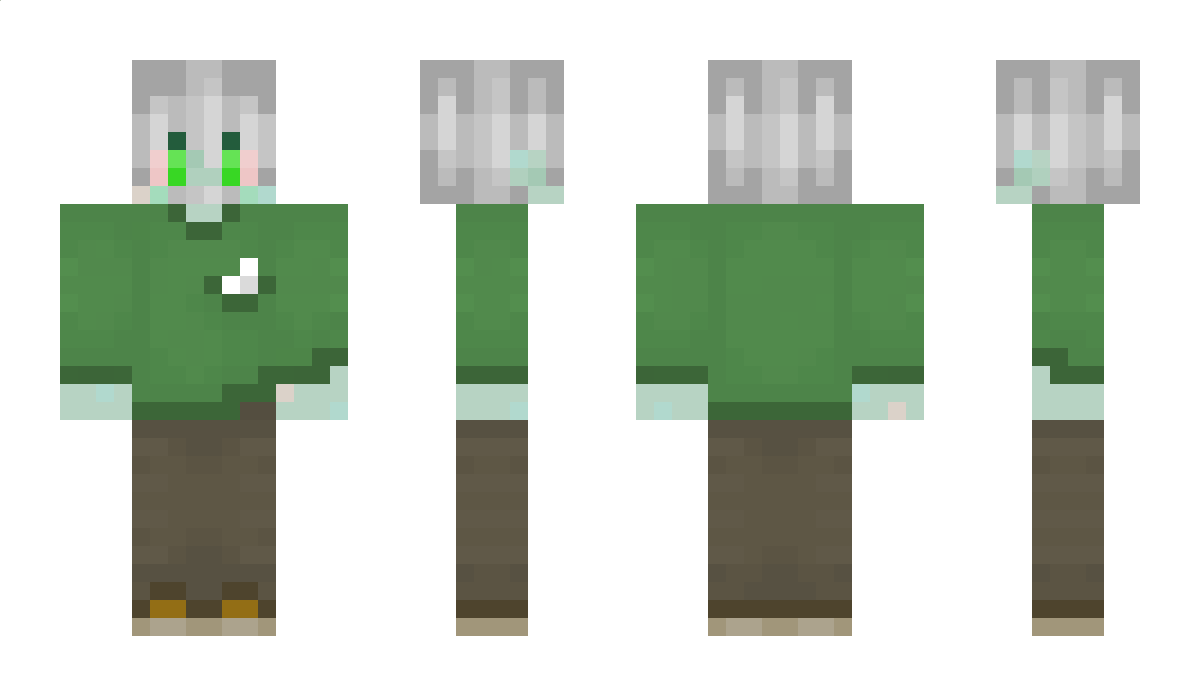 brok243 Minecraft Skin