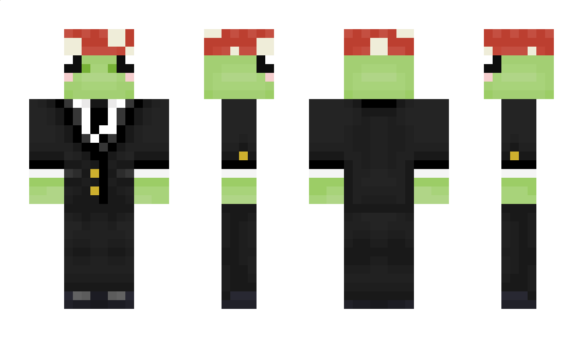 fancyfrogg4 Minecraft Skin