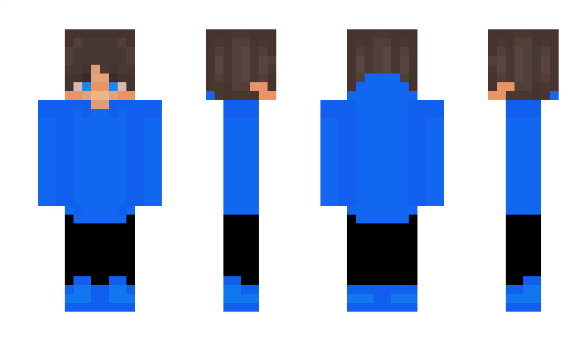 MCXSFOX Minecraft Skin