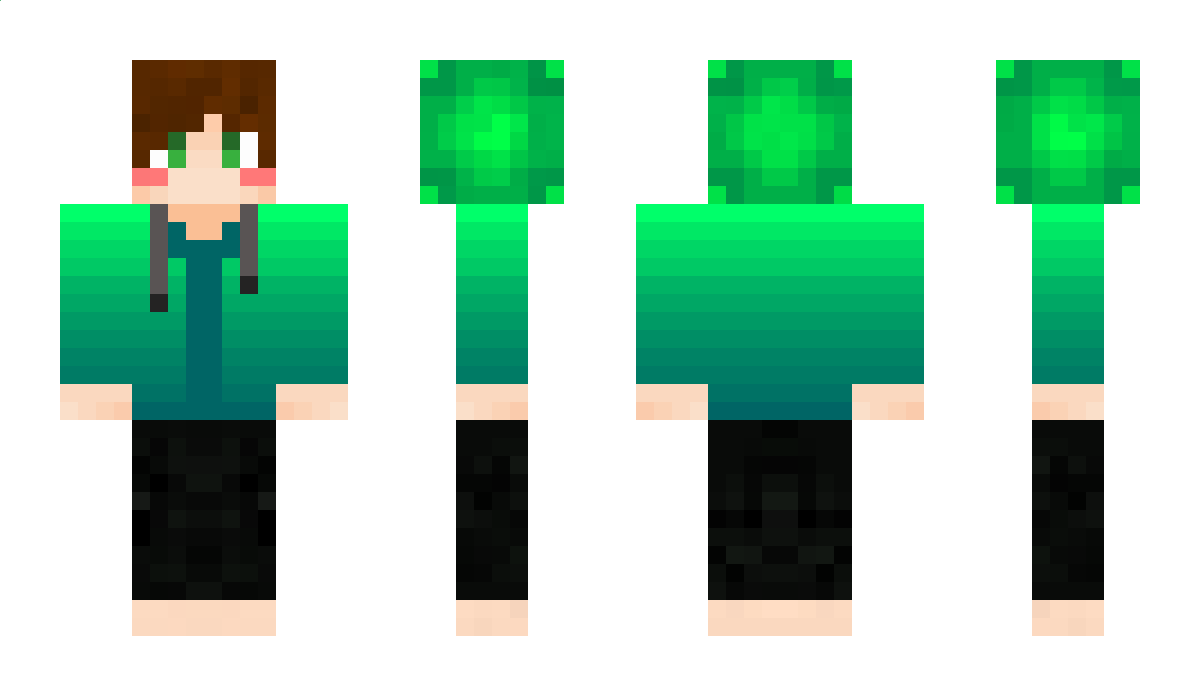 dduni213 Minecraft Skin