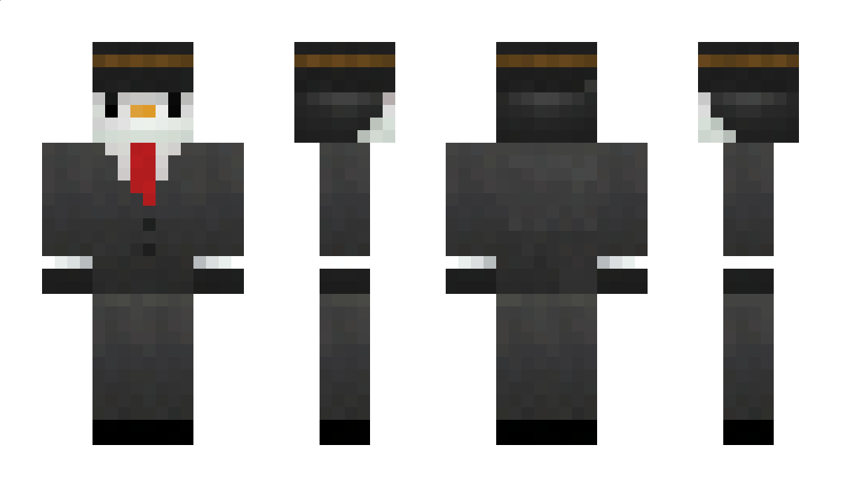 n1serby Minecraft Skin