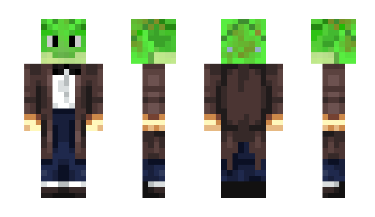 Blechgecco Minecraft Skin