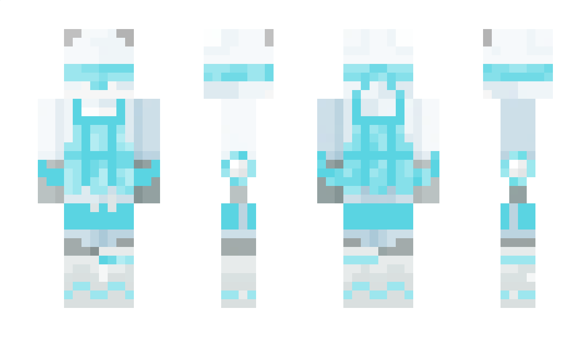 arcticwho Minecraft Skin