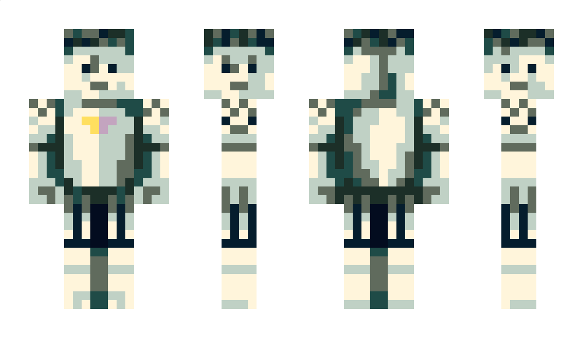 RaychardNixon Minecraft Skin