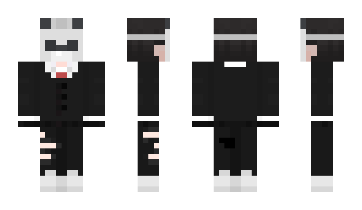 pandy8401 Minecraft Skin