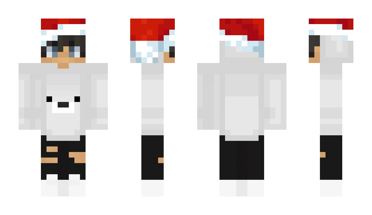 ROBO1232345678 Minecraft Skin