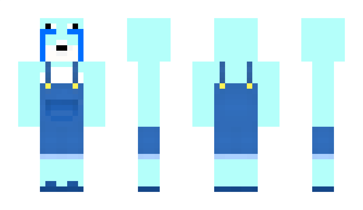 snamkes Minecraft Skin