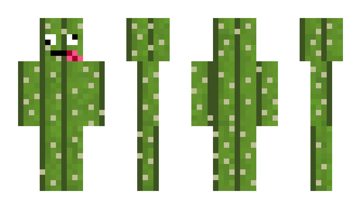 CactU1 Minecraft Skin