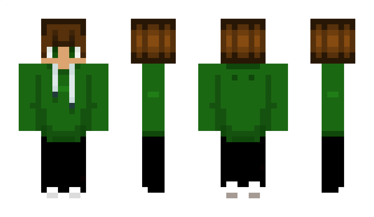 blaze201543 Minecraft Skin