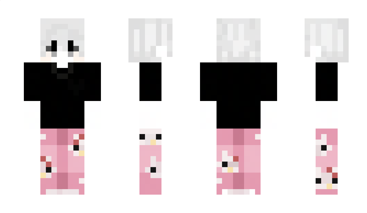 panda_master11 Minecraft Skin