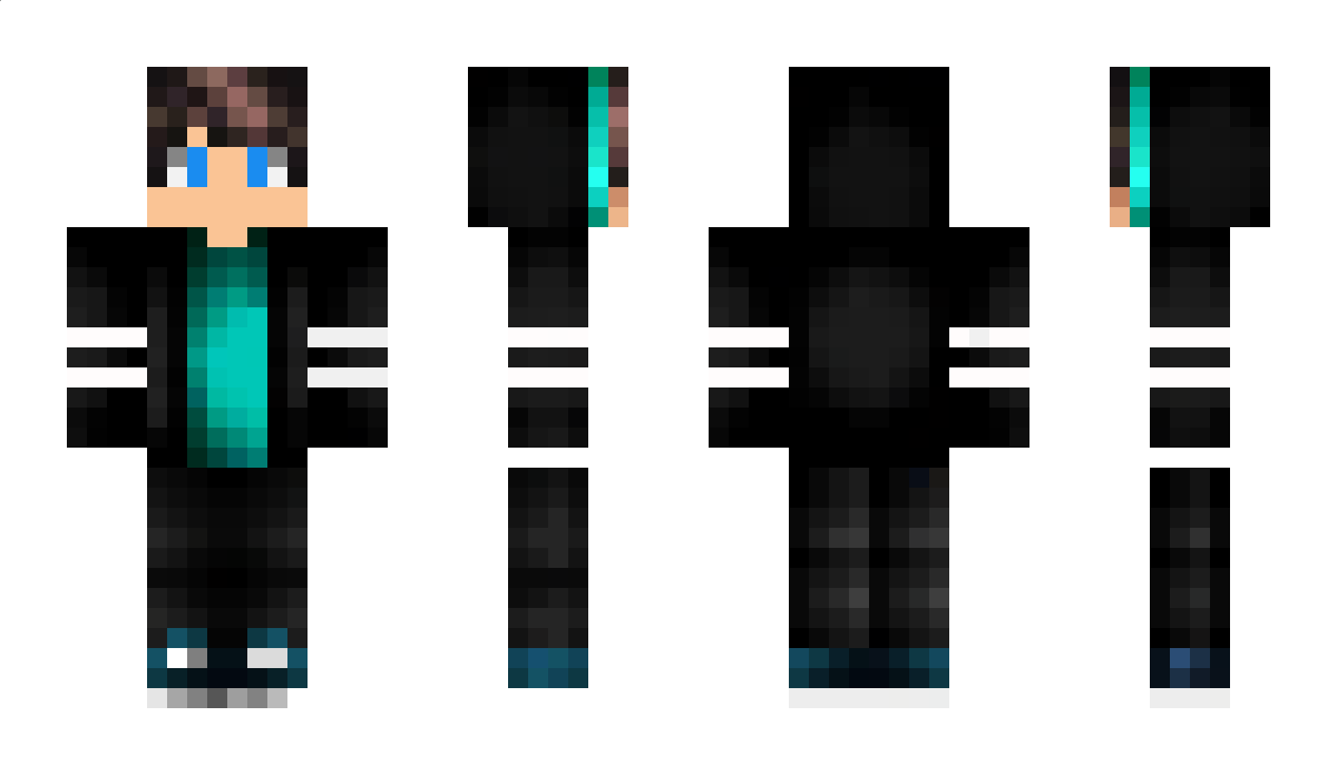 HDMICables Minecraft Skin