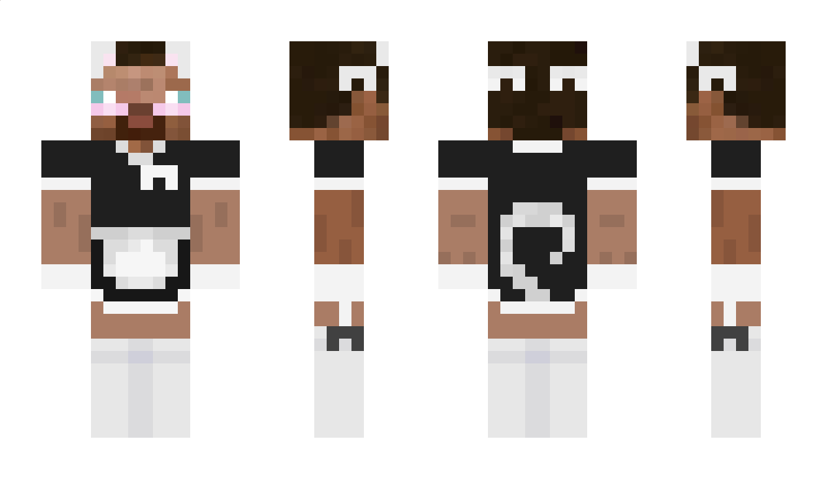 Reidertron Minecraft Skin