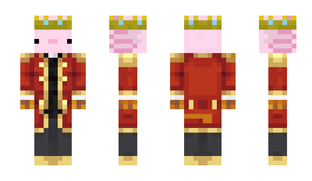 PokeMASTER1895 Minecraft Skin