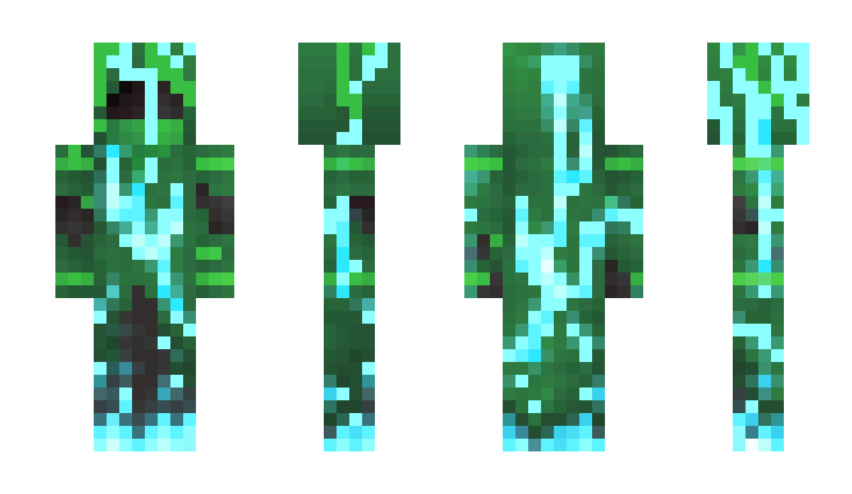 polpl Minecraft Skin