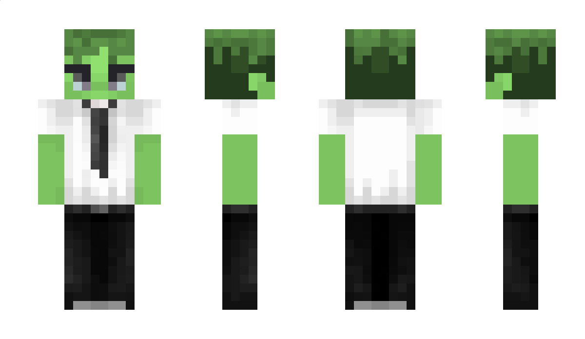 SparkleWarriorN Minecraft Skin