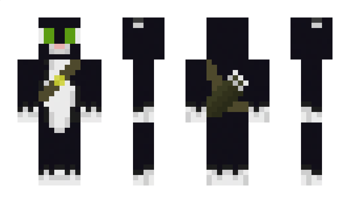 CreepersFearCats Minecraft Skin