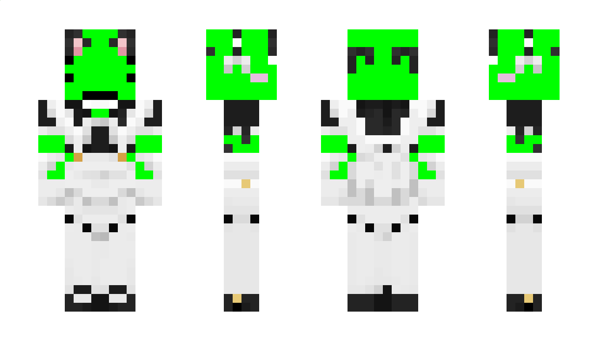 tr_e Minecraft Skin