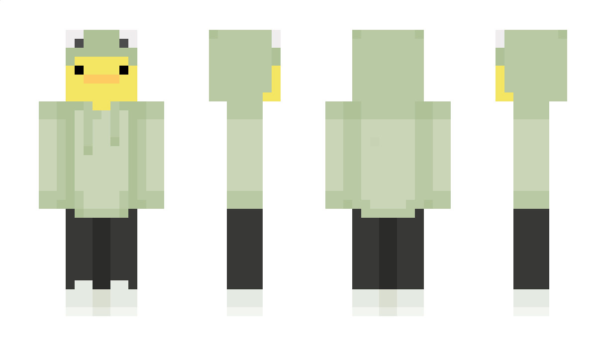 bagiecior60 Minecraft Skin