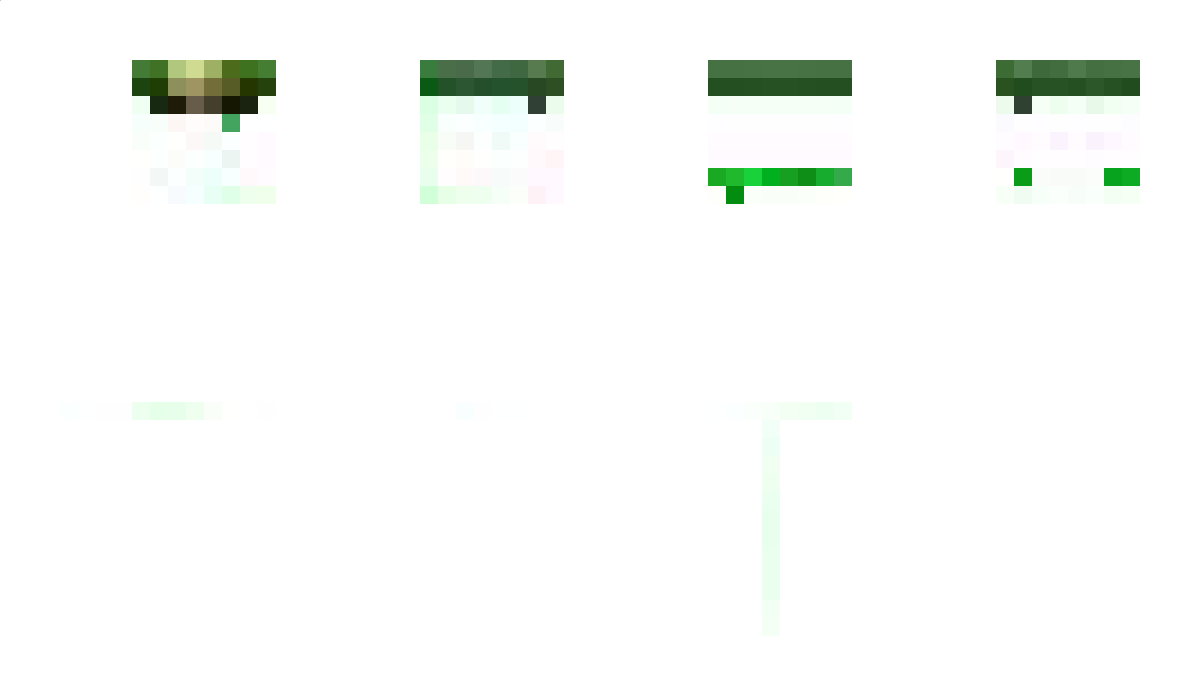 mqmi1 Minecraft Skin