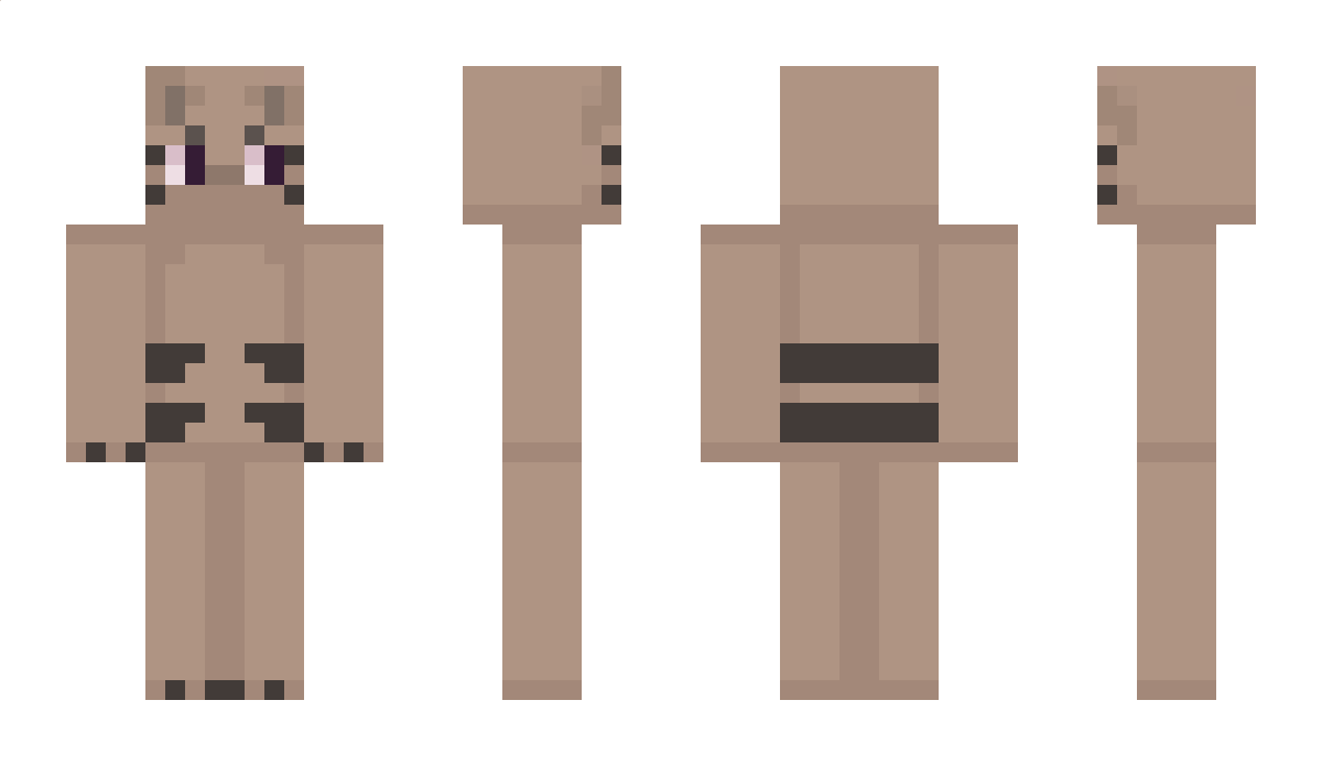 sirvko Minecraft Skin