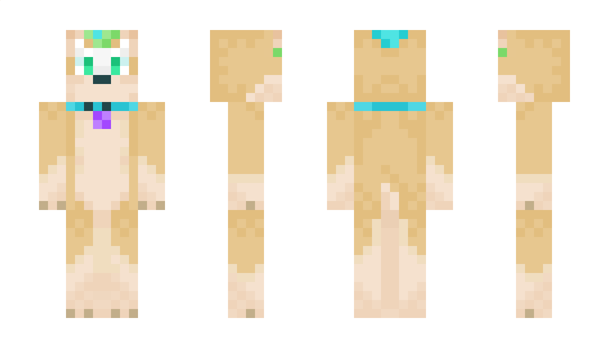 Corgi_Craft Minecraft Skin