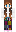 swipnn Minecraft Skin