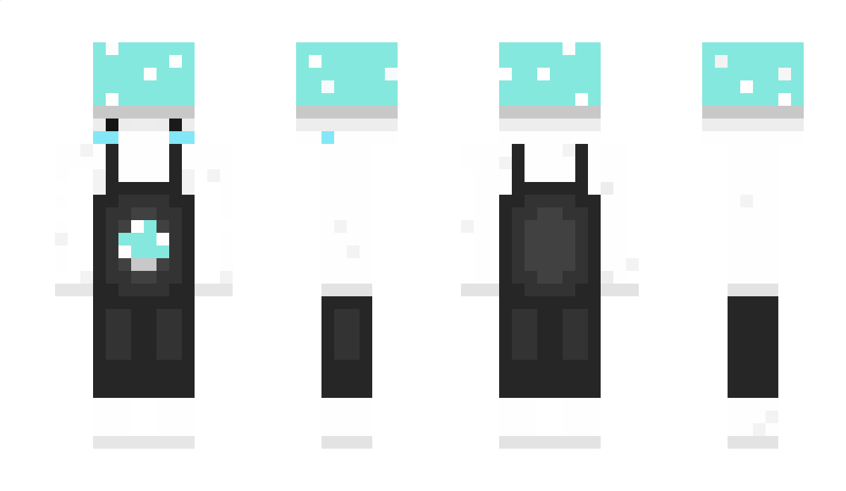 Bird45 Minecraft Skin