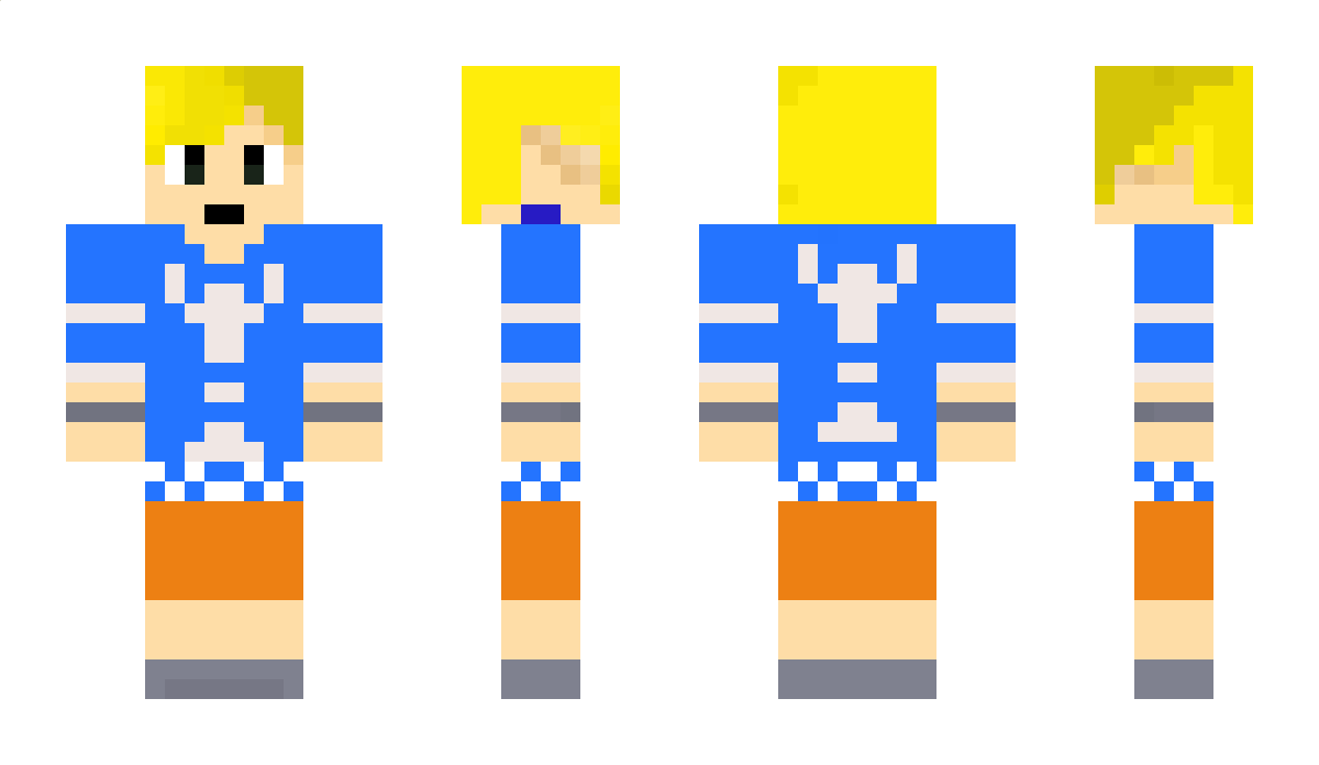 bloky Minecraft Skin