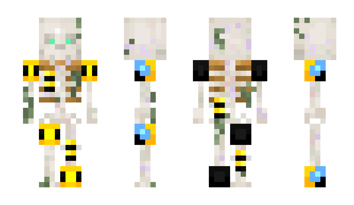 DDaySkeleton Minecraft Skin