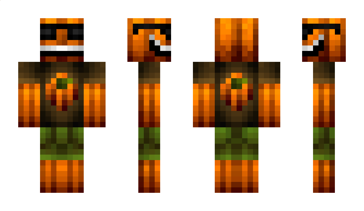 cat3 Minecraft Skin