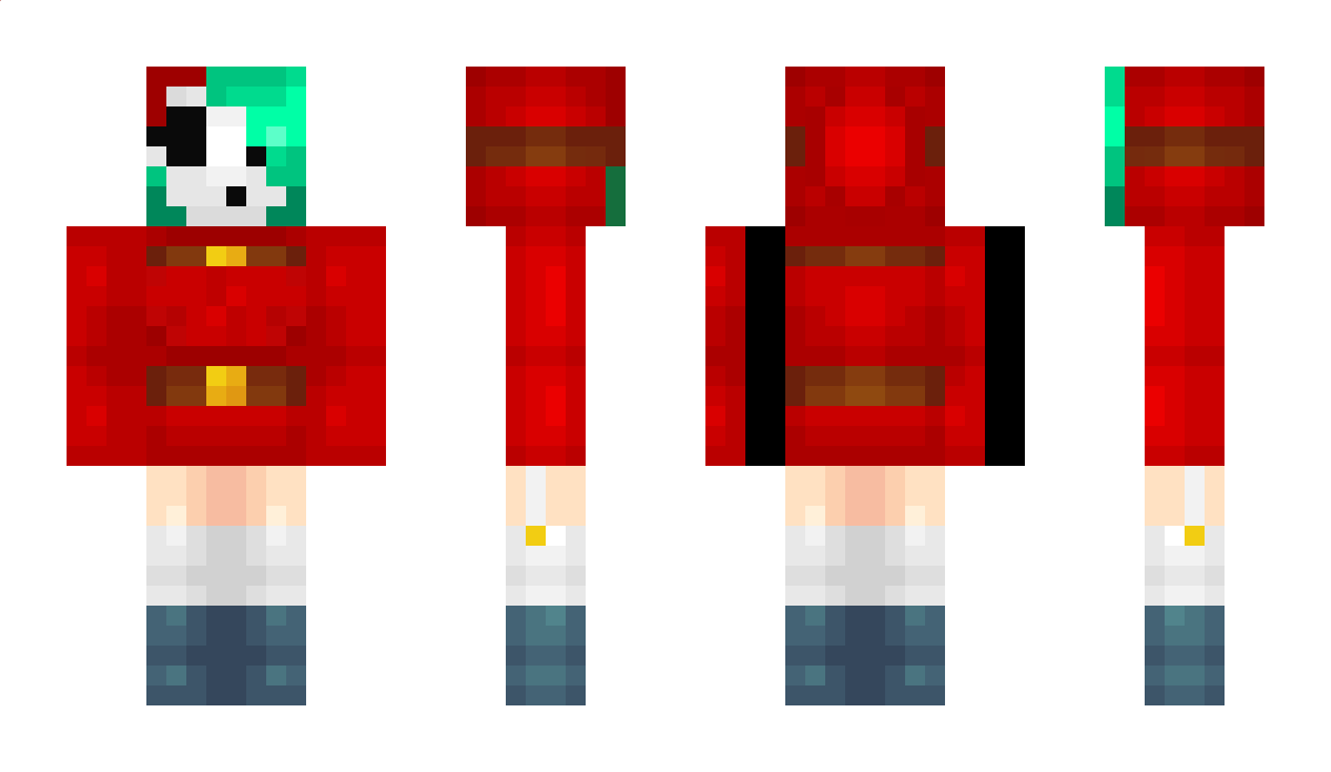 Preiumform6 Minecraft Skin