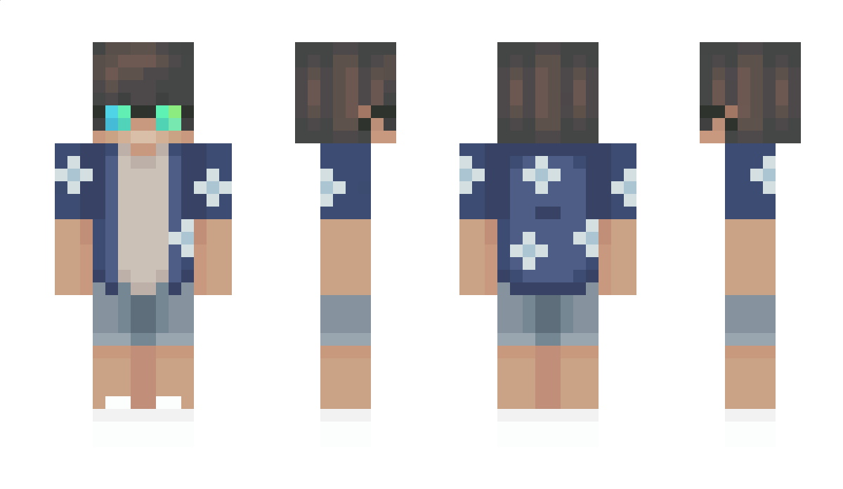 LITform Minecraft Skin