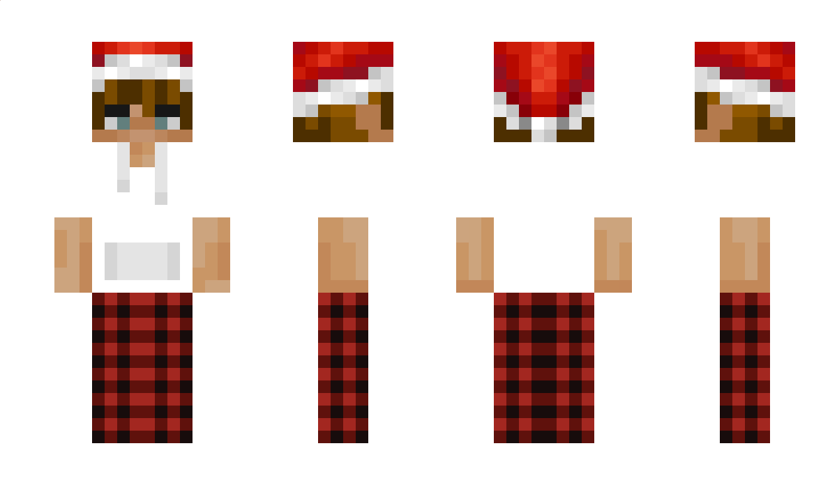 roydz Minecraft Skin