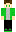 GCeltic Minecraft Skin