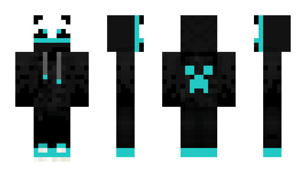 Asti1000 Minecraft Skin