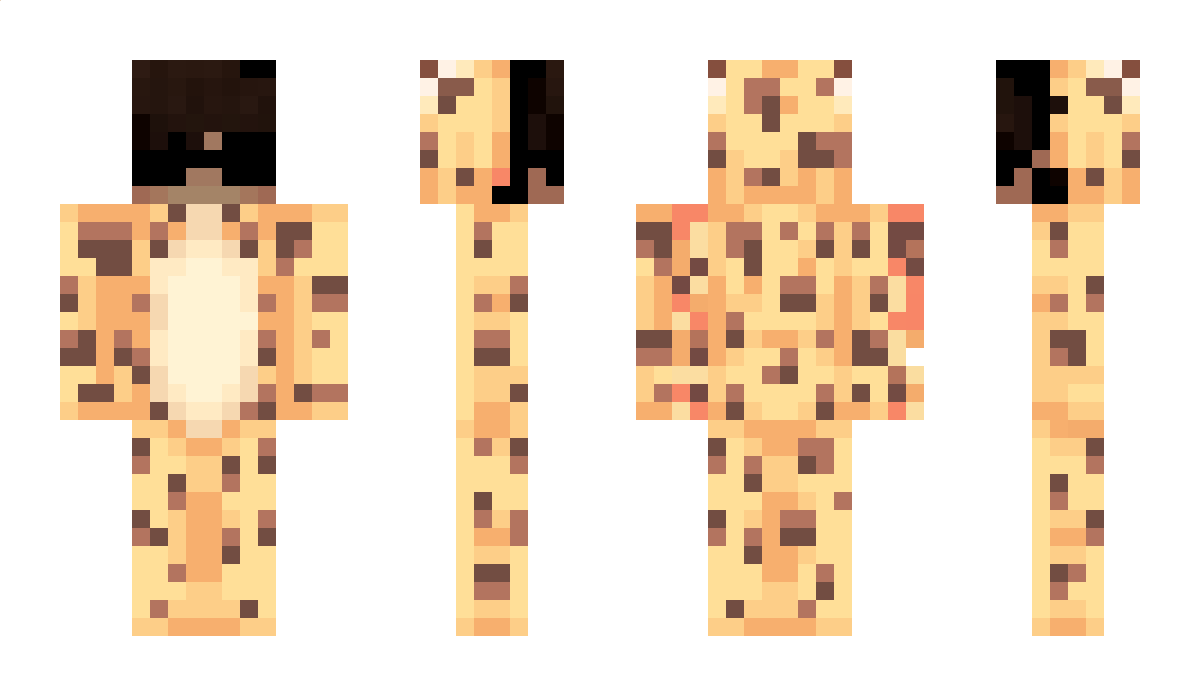 Faithful Minecraft Skin