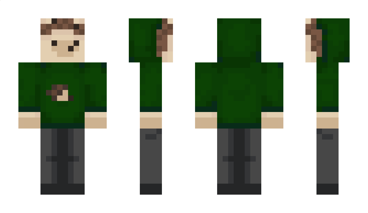 ArtemTheHedgehog Minecraft Skin