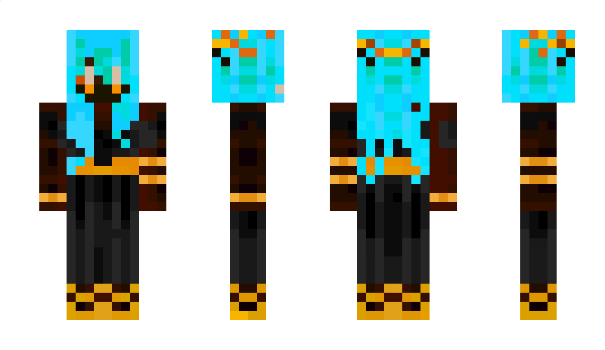 lowlitstar Minecraft Skin